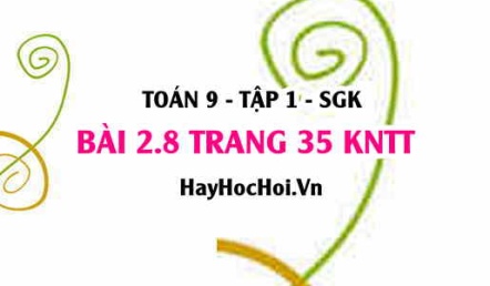 Bài 2.8 trang 35 Toán 9 tập 1 Kết nối tri thức